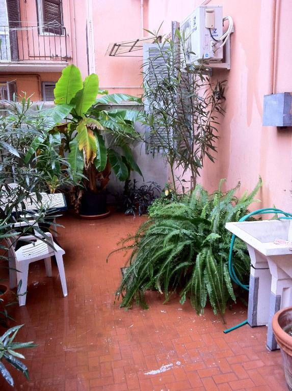 Ottimista Hotel Roma Exterior foto